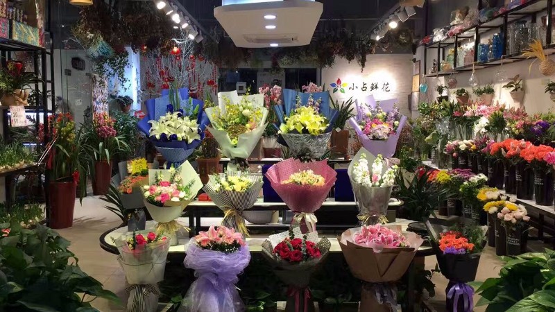 漳州闽侯县鲜花速递漳州闽侯县大学城送花漳州大学城花店