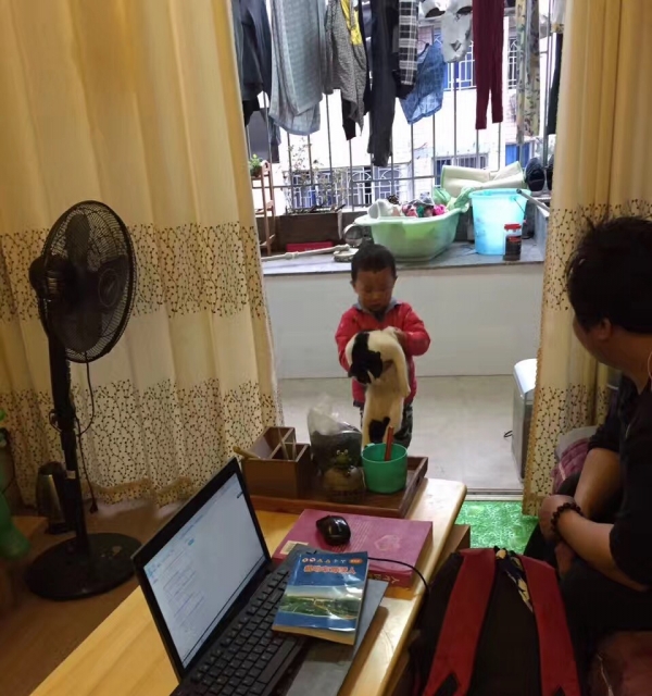 猫咪赠送有爱心的盆友