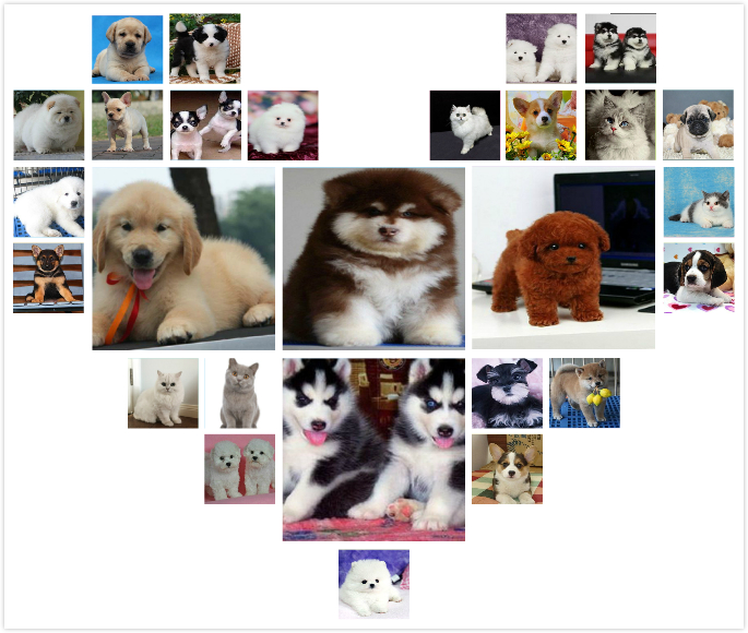 福建漳州出售纯种德国牧羊犬宠物狗狗幼犬
