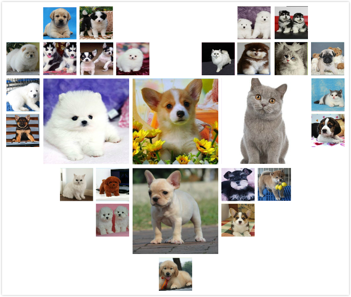 福建宁德出售纯种西伯利亚雪撬犬宠物狗狗幼犬