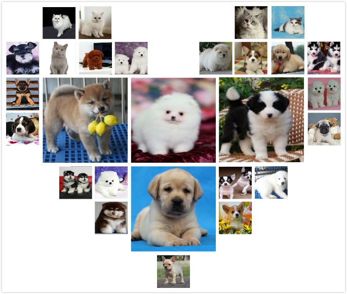 福建宁德出售纯种哈多利博美犬宠物狗狗幼犬