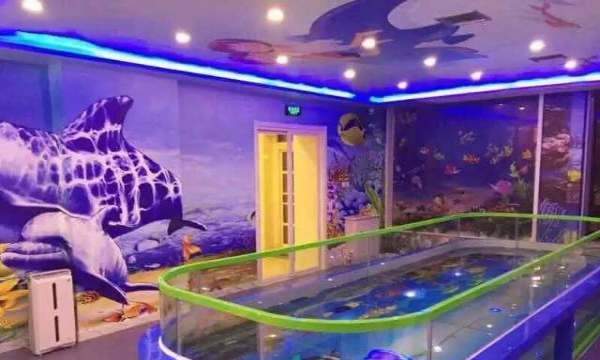 伊贝莎婴儿游泳池水晶梦幻星空儿童游泳大池 G型